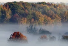 Photo of Во Берово утрово – 1 степен, максималната дневна 23 степени