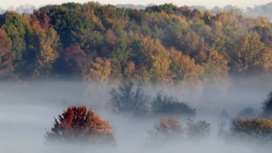 Photo of Во Берово утрово – 1 степен, максималната дневна 23 степени