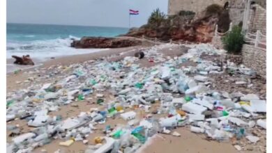 Photo of (Видео) Морето исфрли тони пластика од Албанија во Дубровник: Познатата плажа Бање претворена во депонија