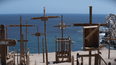 Photo of „Сè што ни е заедничко“: новата изложба во МСУ го отвора прашањето за воздухот како политичко поле