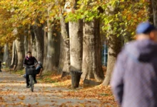 Photo of Претпладне магливо, попладне сончево