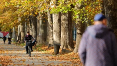 Photo of Претпладне магливо, попладне сончево
