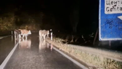 Photo of Предложен притвор за три лица од кривопаланечко кои спречувале службеници во вршење должност