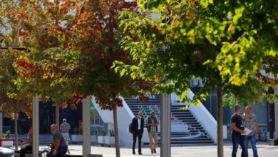 Photo of Од следната недела стабилно и топло време