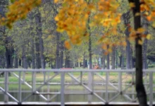 Photo of Променливо облачно со сончеви периоди, од утре потопло