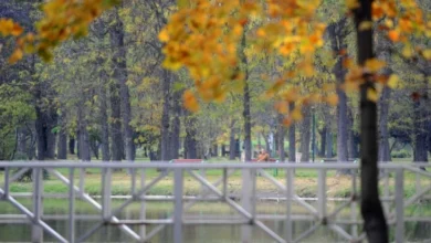 Photo of Променливо облачно со сончеви периоди, од утре потопло
