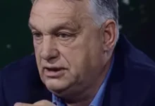 Photo of Орбан наскоро испраќа бизнисмени во Русија за да се подготват за повоениот период