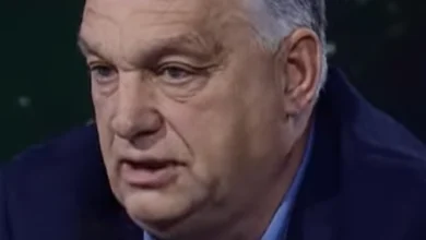 Photo of Орбан наскоро испраќа бизнисмени во Русија за да се подготват за повоениот период