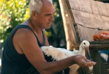 Photo of Награди за документарецот „Приказната за Силјан“ во Лос Анџелес