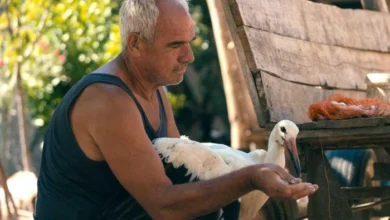 Photo of Награди за документарецот „Приказната за Силјан“ во Лос Анџелес