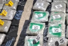 Photo of Запленети 62 пакувања со марихуана при претрес на возило во Струшко