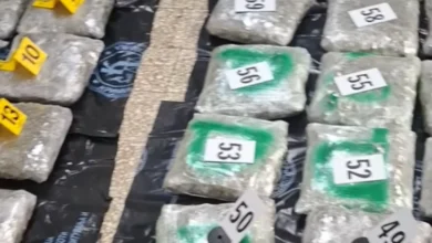 Photo of Запленети 62 пакувања со марихуана при претрес на возило во Струшко