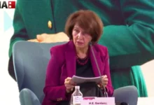 Photo of Сиљановска Давкова за можен прием на мигранти: Колку што сум информирана од британскиот амбасадор и од Владата тоа не е точно