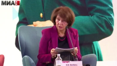 Photo of Сиљановска Давкова за можен прием на мигранти: Колку што сум информирана од британскиот амбасадор и од Владата тоа не е точно