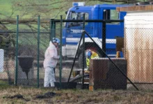 Photo of Околу 350.000 литри нафта истекоа од нафтовод во Германија