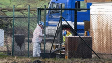 Photo of Околу 350.000 литри нафта истекоа од нафтовод во Германија