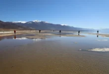 Photo of Во Преспанско Езеро кај селото Наколец откриен редок органски материјал