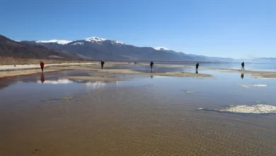 Photo of Во Преспанско Езеро кај селото Наколец откриен редок органски материјал