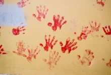 Photo of Хрватски пратеници бараат вонредна седница на Парламентот по четири убиства на жени за две недели