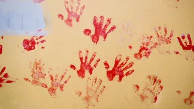 Photo of Хрватски пратеници бараат вонредна седница на Парламентот по четири убиства на жени за две недели