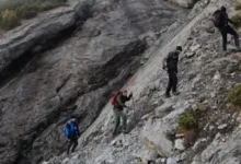 Photo of ВИДЕО: Во северна Италија откриени илјадници отпечатоци од диносауруси