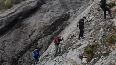 Photo of ВИДЕО: Во северна Италија откриени илјадници отпечатоци од диносауруси