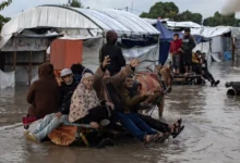 Photo of Лекари без граници: Поради зимата во Газа умираат бебиња и деца, повик до Израел да дозволи помош