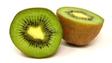 Photo of АХВ: Нештетно уништени 22,3 тони киви за преработка од увоз