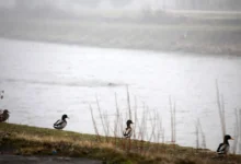 Photo of Променливо облачно со магла во котлините, од утре дожд и постудено