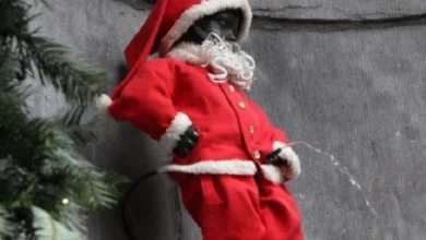 Photo of Божиќни традиции и обичаи во Белгија – елка со четири свеќи како симболи за надежта, мирот, радоста и љубовта