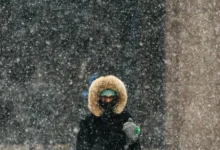 Photo of Зимата ќе биде без екстремни периоди, студени бранови кон крајот на декември до средината на јануари и крајот на февруари