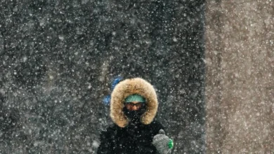 Photo of Зимата ќе биде без екстремни периоди, студени бранови кон крајот на декември до средината на јануари и крајот на февруари