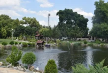 Photo of Утврден идентитетот на починатата старица пронајдена во езерцето во Градскиот парк во Струмица 