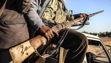 Photo of Нигериската влада формално го одобрила нападот на САД врз терористички цели во земјата