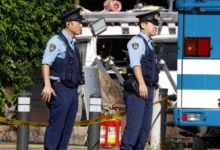 Photo of Двајца загинати и 26 повредени во судар северозападно од Токио во кој учествувале повеќе од 50 возила