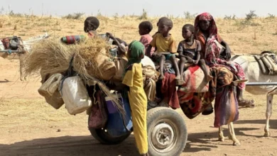 Photo of Повеќе од 200 цивили убиени во етнички напади на РСФ во регионот Дарфур