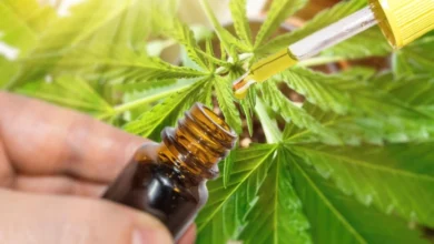 Photo of Во БиХ усвоена одлука за легализација на канабисот за медицински цели