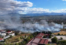Photo of Екокриминал без казна: Кога уништувањето на природата не се препознава како кривично дело