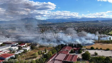 Photo of Екокриминал без казна: Кога уништувањето на природата не се препознава како кривично дело