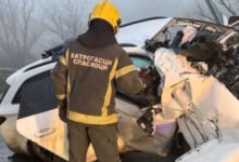 Photo of Трагедија на автопатот Белград – Ниш: Двајца македонски државјани загинаа во тешка сообраќајка