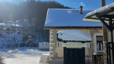 Photo of Бернската конвенција: Случајот „Маврово“ и по 11 години без решениe