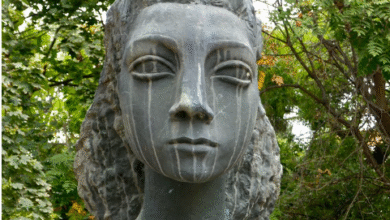 Photo of Украдена бистата на Вера Јоциќ од парк во Центар