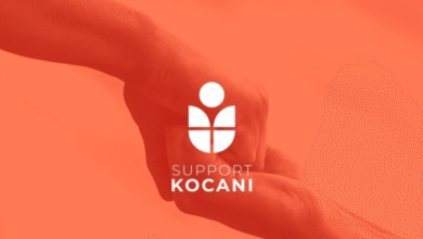 Photo of Иницијативата „САПОРТ КОЧАНИ“ доби златен сертификат за волонтерство