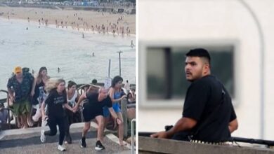 Photo of Високи функционери на ЕУ го осудија терористичкиот чин против еврејската заедница во Австралија