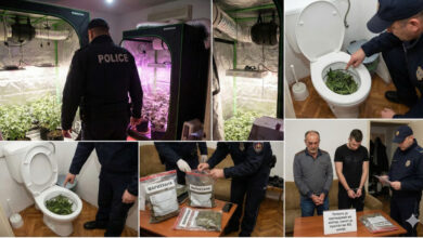 Photo of „Семеен бизнис“ во Богородица: Таткото ја одгледувал во шатор, синот ја пуштал во ВЦ шолја – откриена лабораторија за марихуана