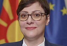 Photo of Димитриеска-Кочоска: Немам информација дека доцни породилното