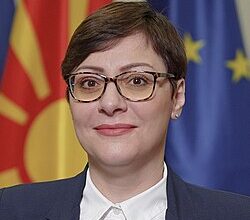 Photo of Димитриеска-Кочоска: Немам информација дека доцни породилното