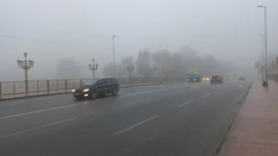 Photo of Намалена видливост поради магла кај Ресен и Удово