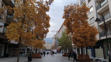 Photo of Облачно со сончеви периоди, од вторник дожд