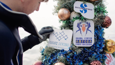 Photo of Во Охридското Езеро поставена новогодишна елка под вода
